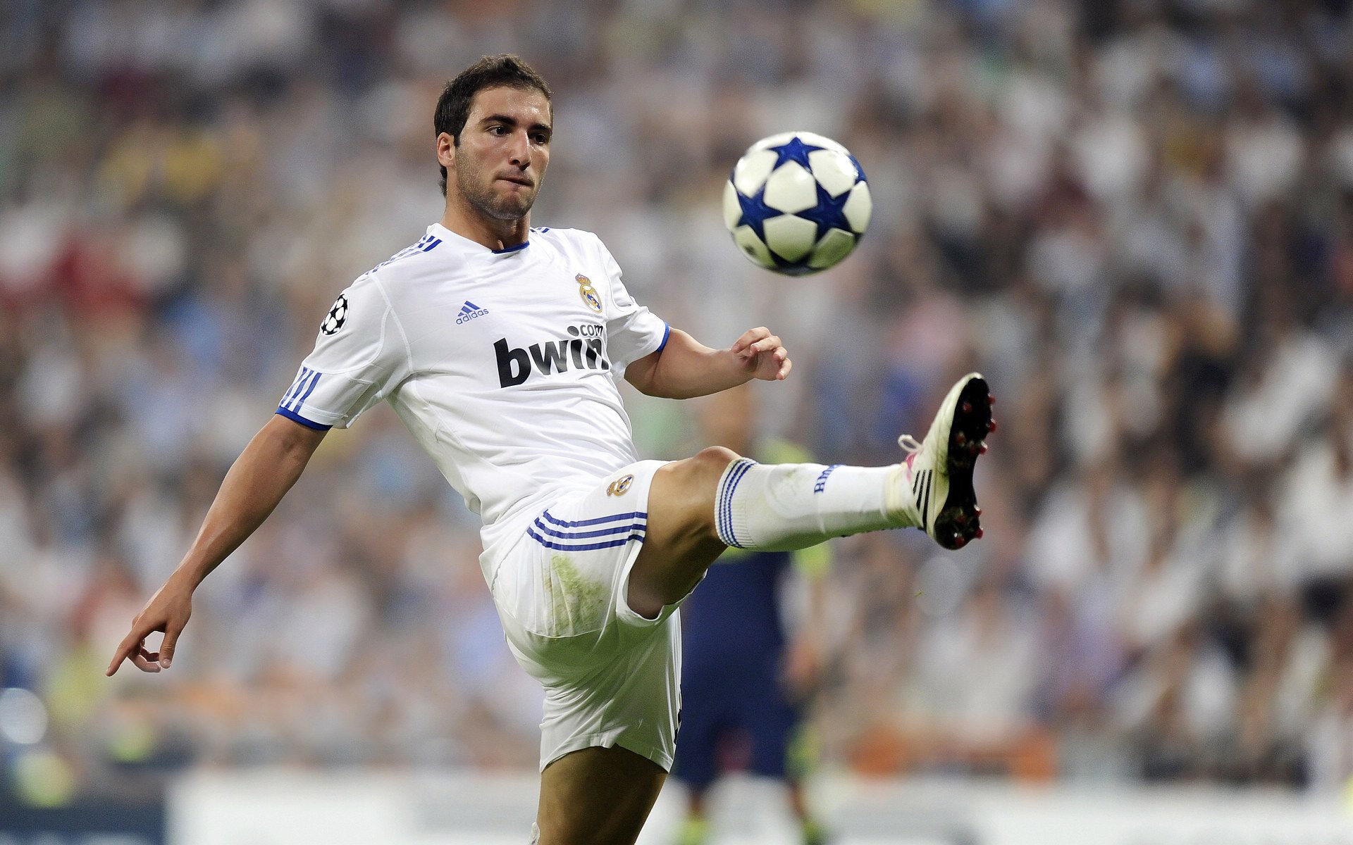 开云电竞中国-体育明星公益活动广泛开展，关于体育的公益项目